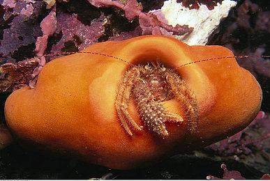 有老外以为《古剑》是类魂 游戏博主反驳：根本不是